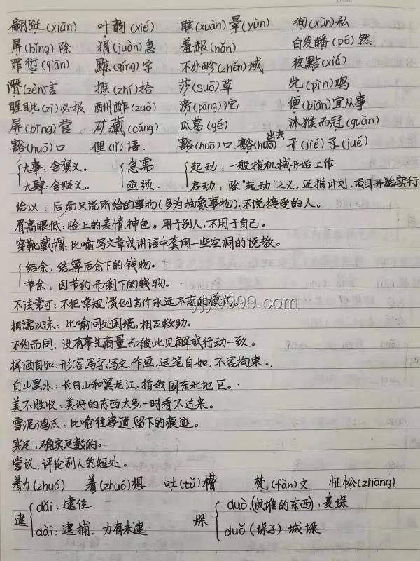 高考情感消费升温：烧烤花背后的家庭情感经济洞察